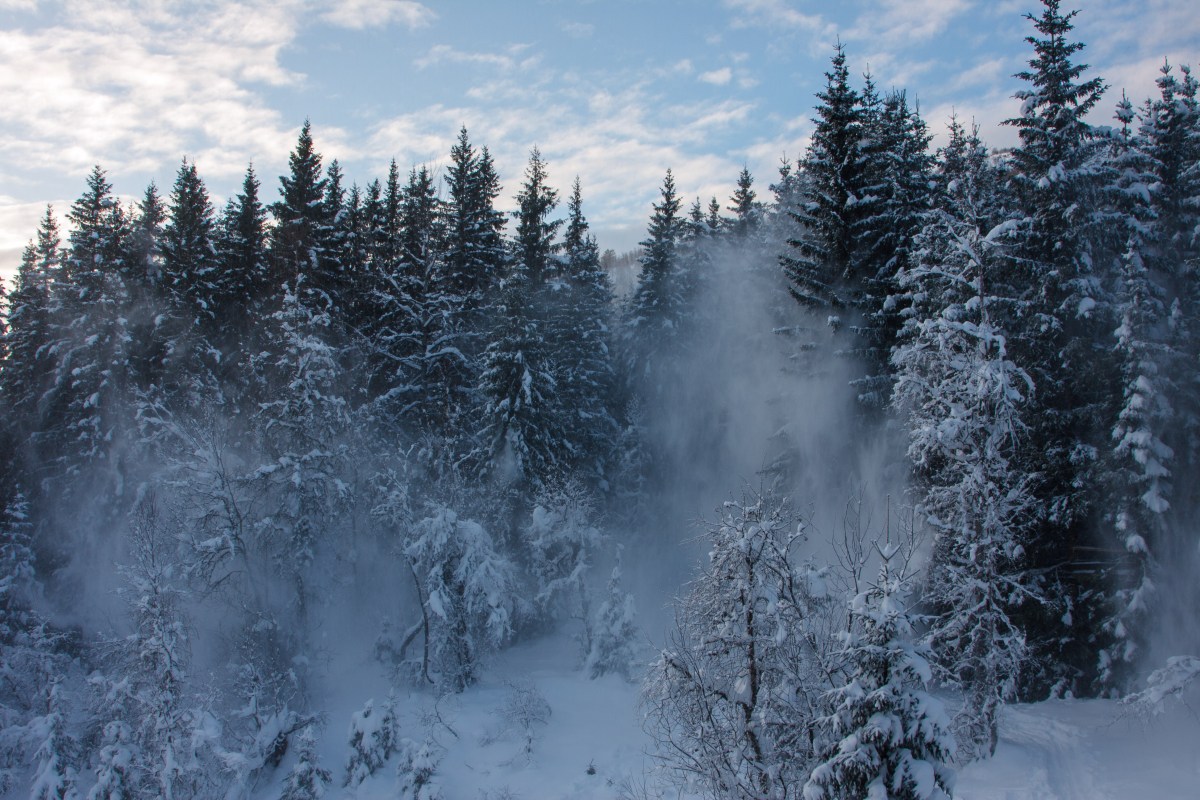 Blir det en kald&nbsp;vinter?